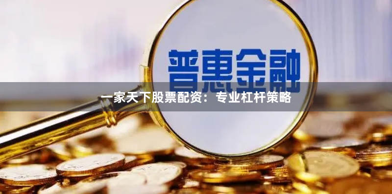 一家天下股票配资：专业杠杆策略