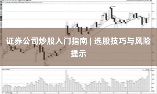证券公司炒股入门指南 | 选股技巧与风险提示